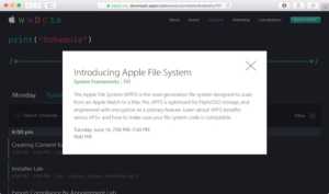 Apple file System